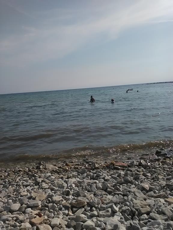 IMG_20160630_174049 (Copy).jpg