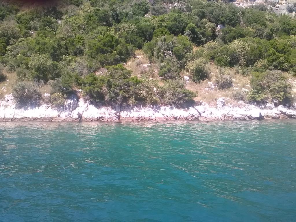 IMG_20160629_142239 (Copy).jpg