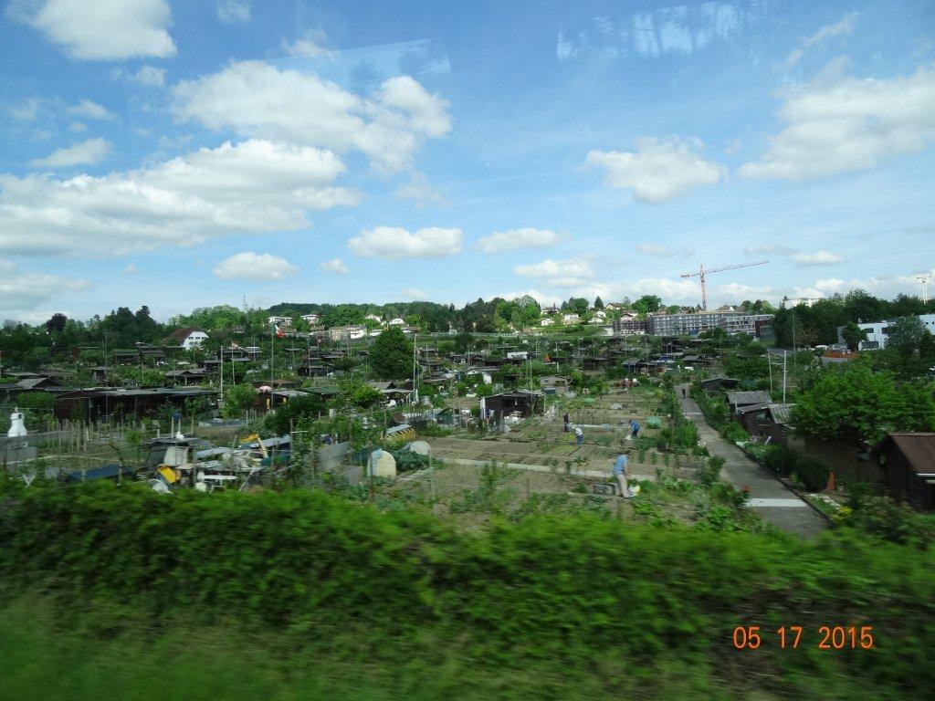 Podbój Iberii cz. I 218.jpg