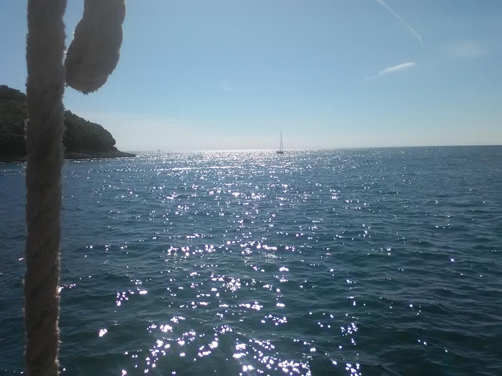 IMG_20160629_163945 (Copy).jpg