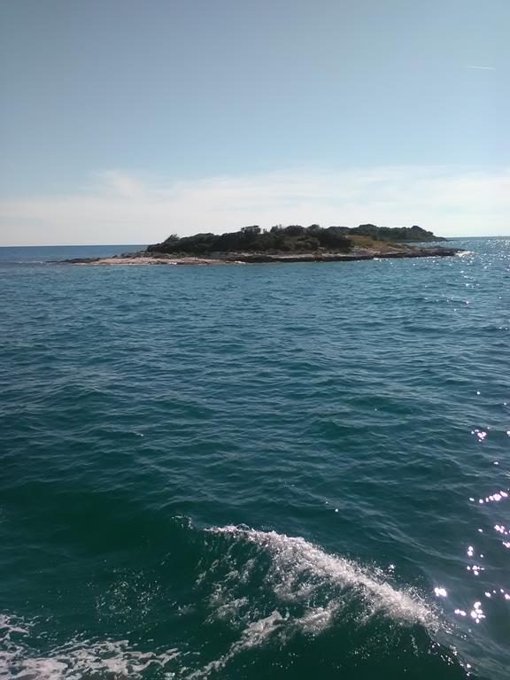 IMG_20160629_170151 (Copy).jpg