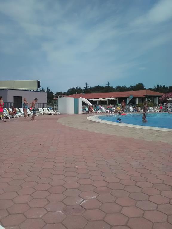 IMG_20160630_130230 (Copy).jpg