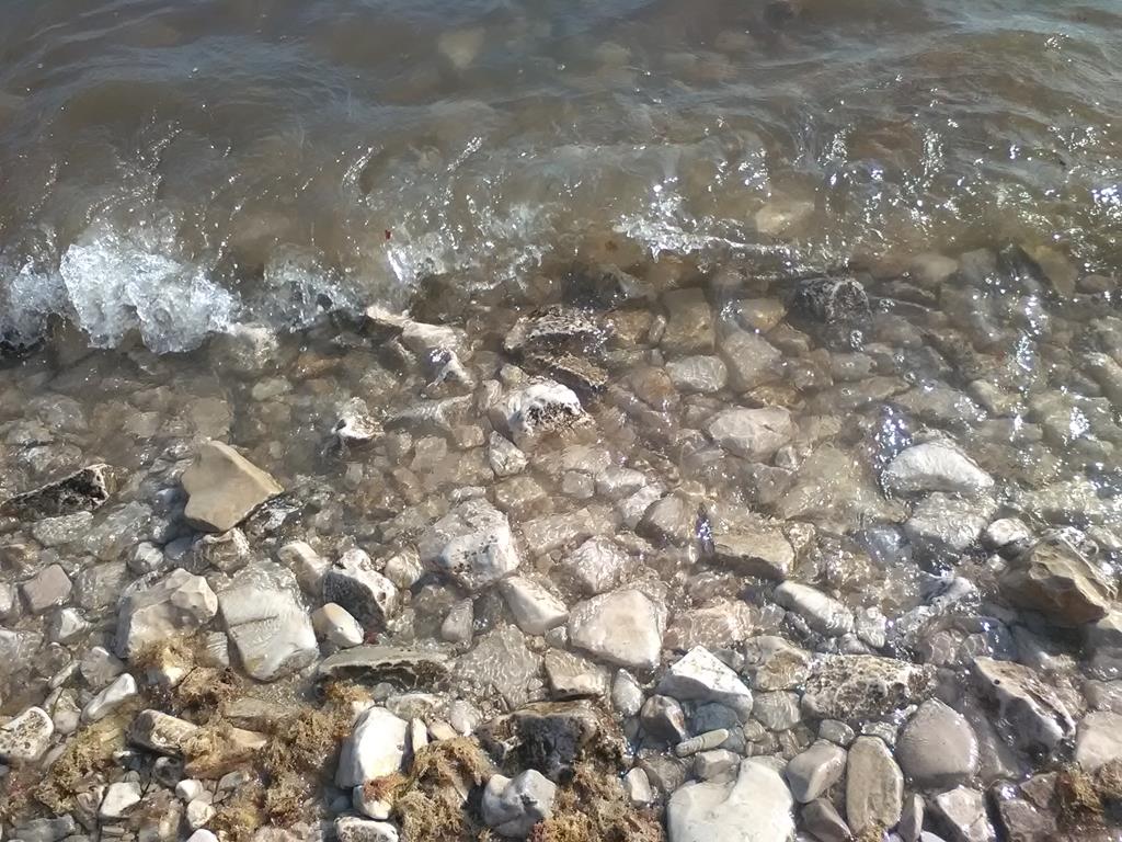 IMG_20160630_175451 (Copy).jpg