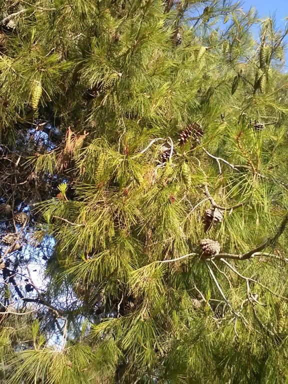 IMG_20160630_190323 (Copy).jpg