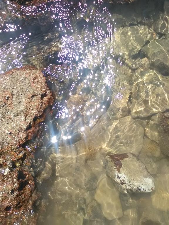 IMG_20160701_142446 (Copy).jpg