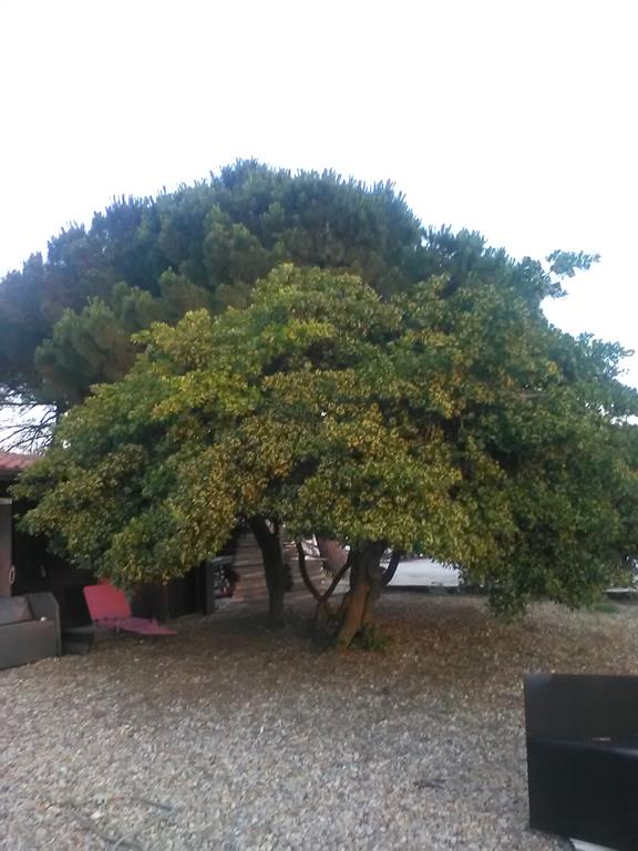 IMG_20160701_204252 (Copy).jpg