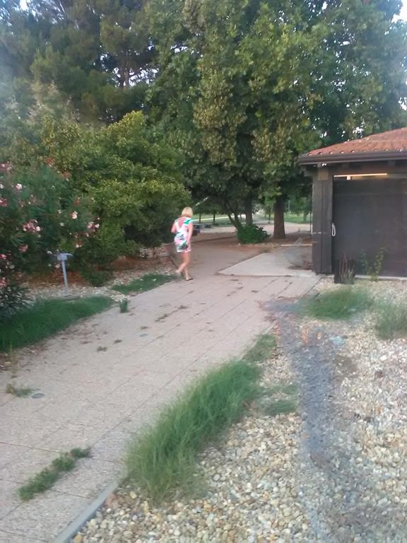 IMG_20160701_204340 (Copy).jpg