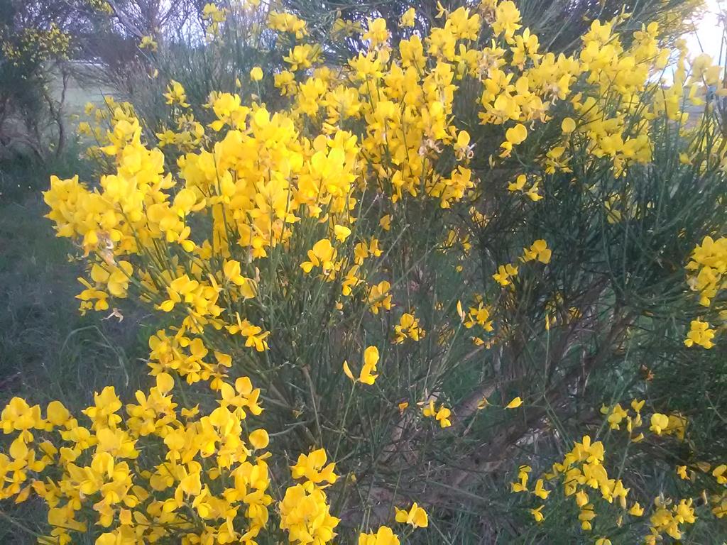 IMG_20160701_205054 (Copy).jpg