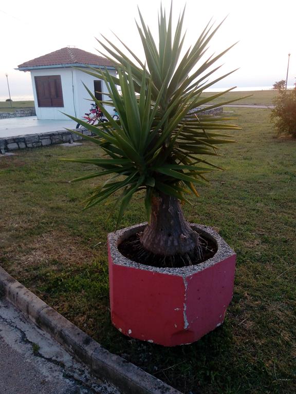 IMG_20160630_204356 (Copy).jpg