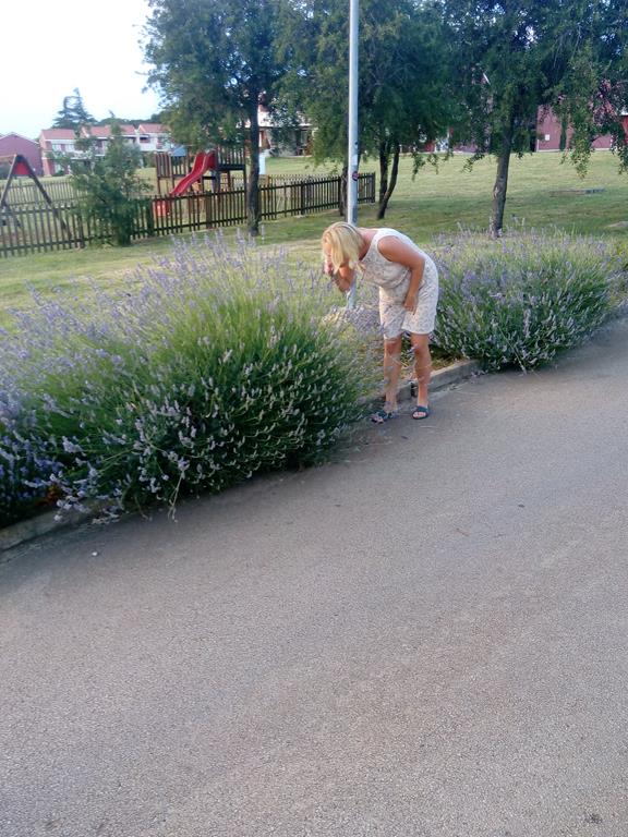 IMG_20160630_204709 (Copy).jpg