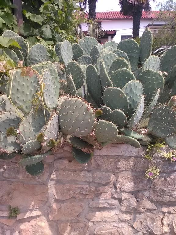 IMG_20160703_113001 (Copy).jpg