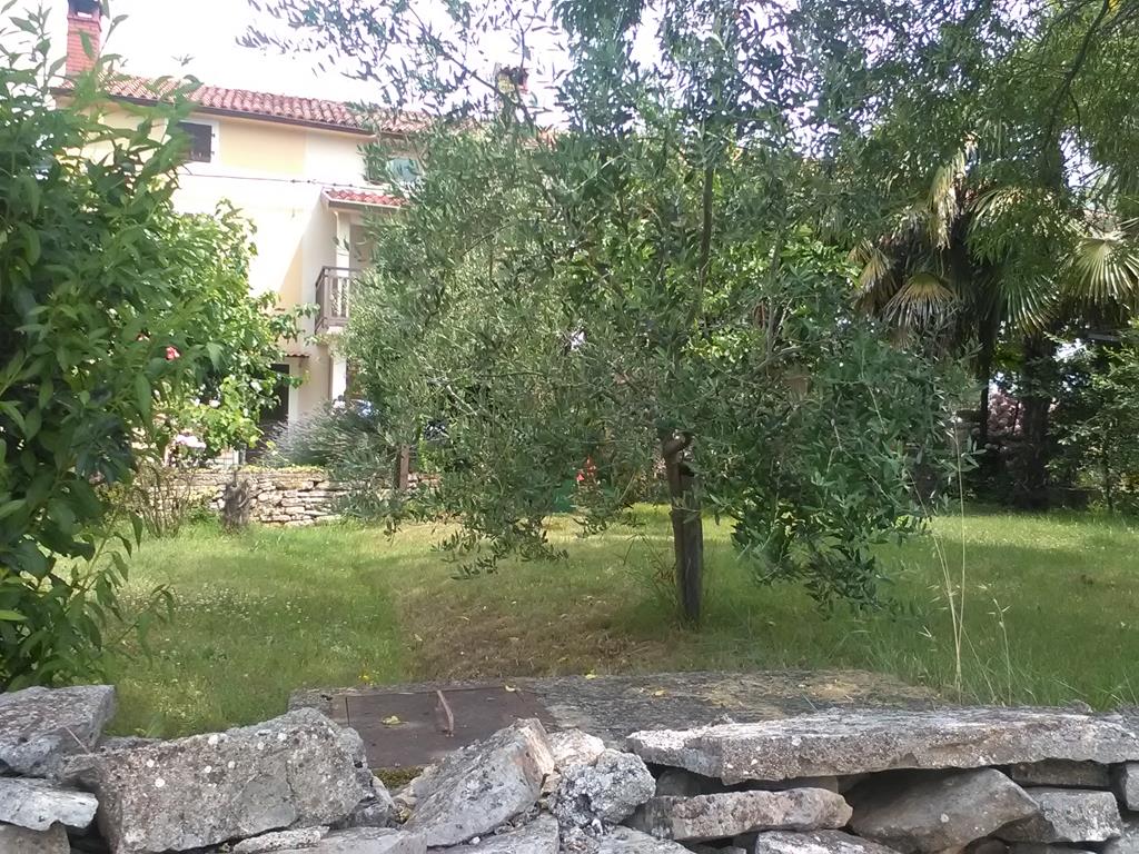 IMG_20160703_113040 (Copy).jpg