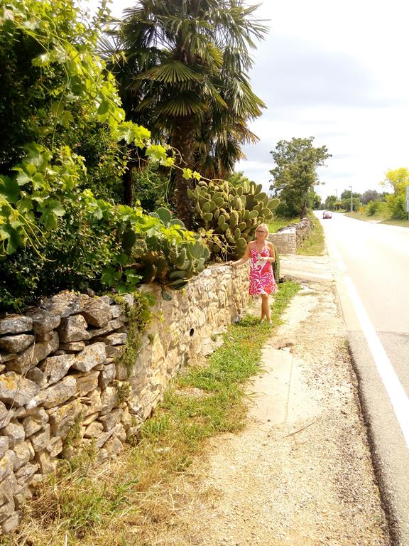 IMG_20160703_113629 (Copy).jpg