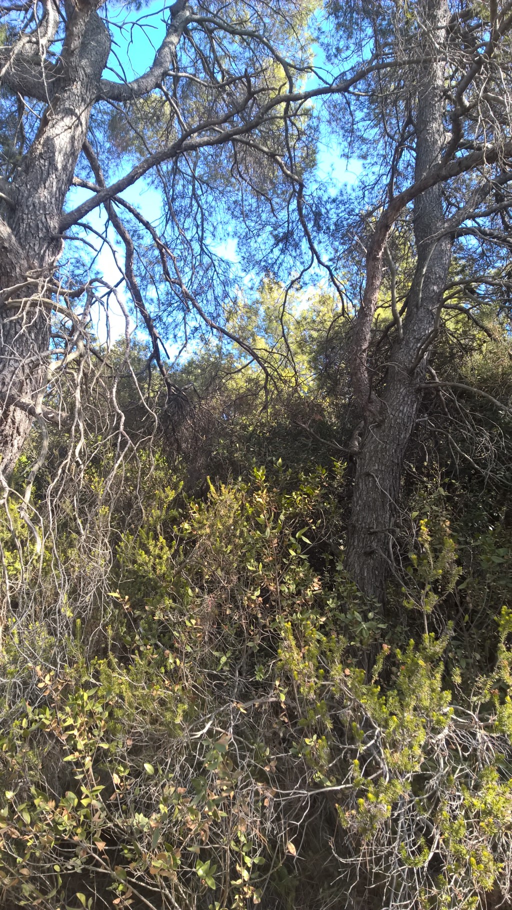 ...kryje się... / 13.jpg 13.jpg