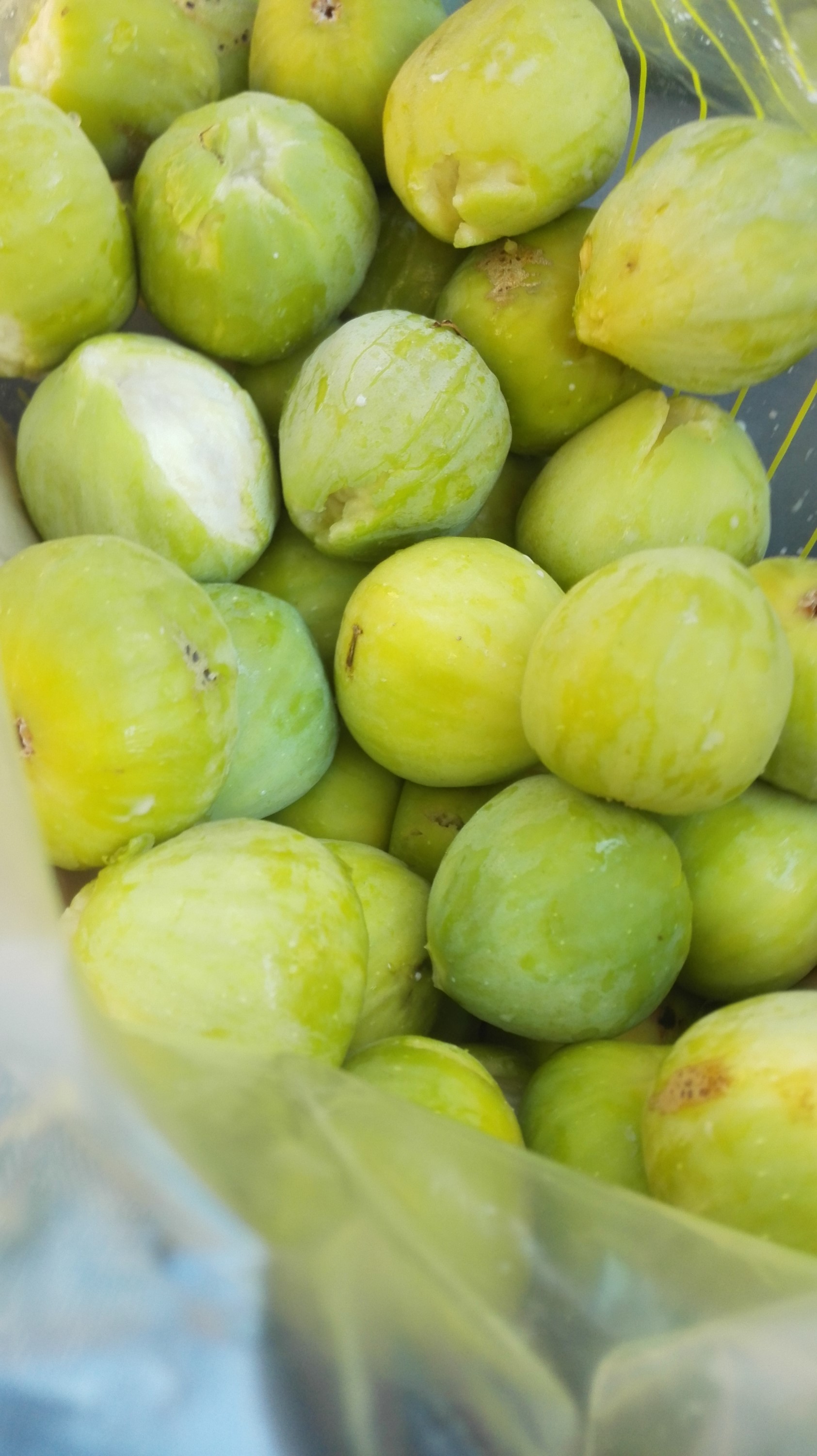 Jeden z argumentów za planowaniem urlopu na koniec lata :) / 07.jpg 07.jpg