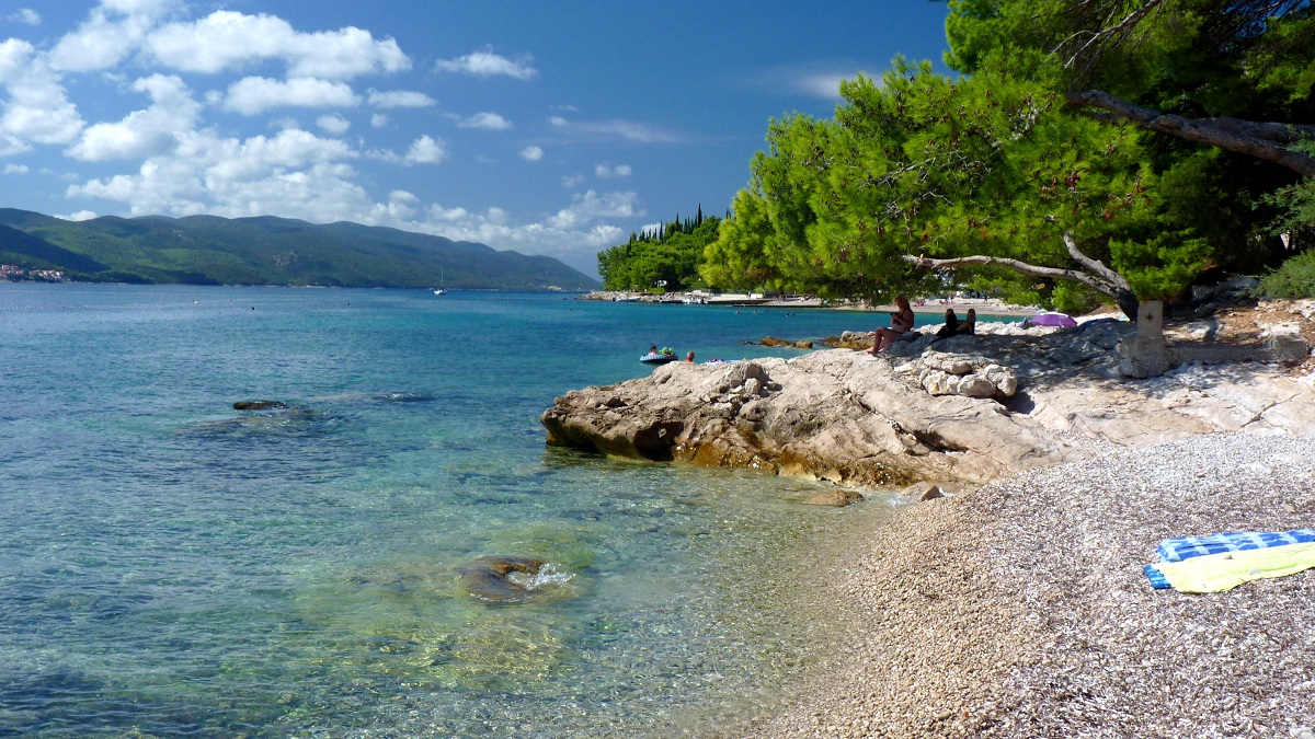 20170915_092113ż3 (36).JPG