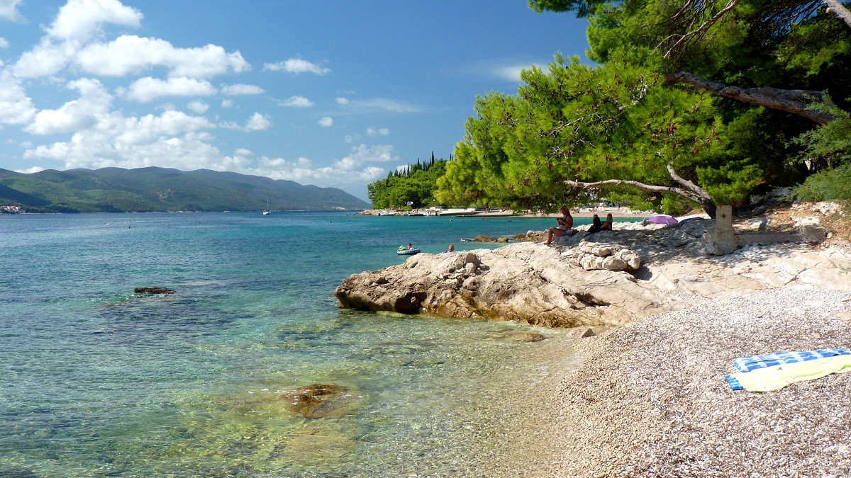 20170915_092113ż3 (37).JPG