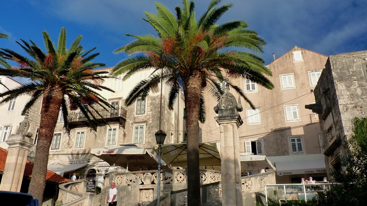 20170915_092113ż3 (65).JPG