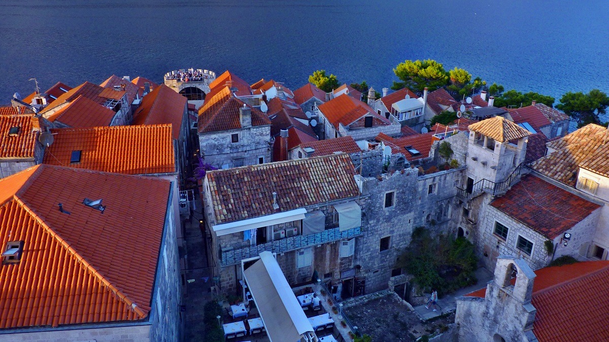 20170915_092113ż3 (96).JPG