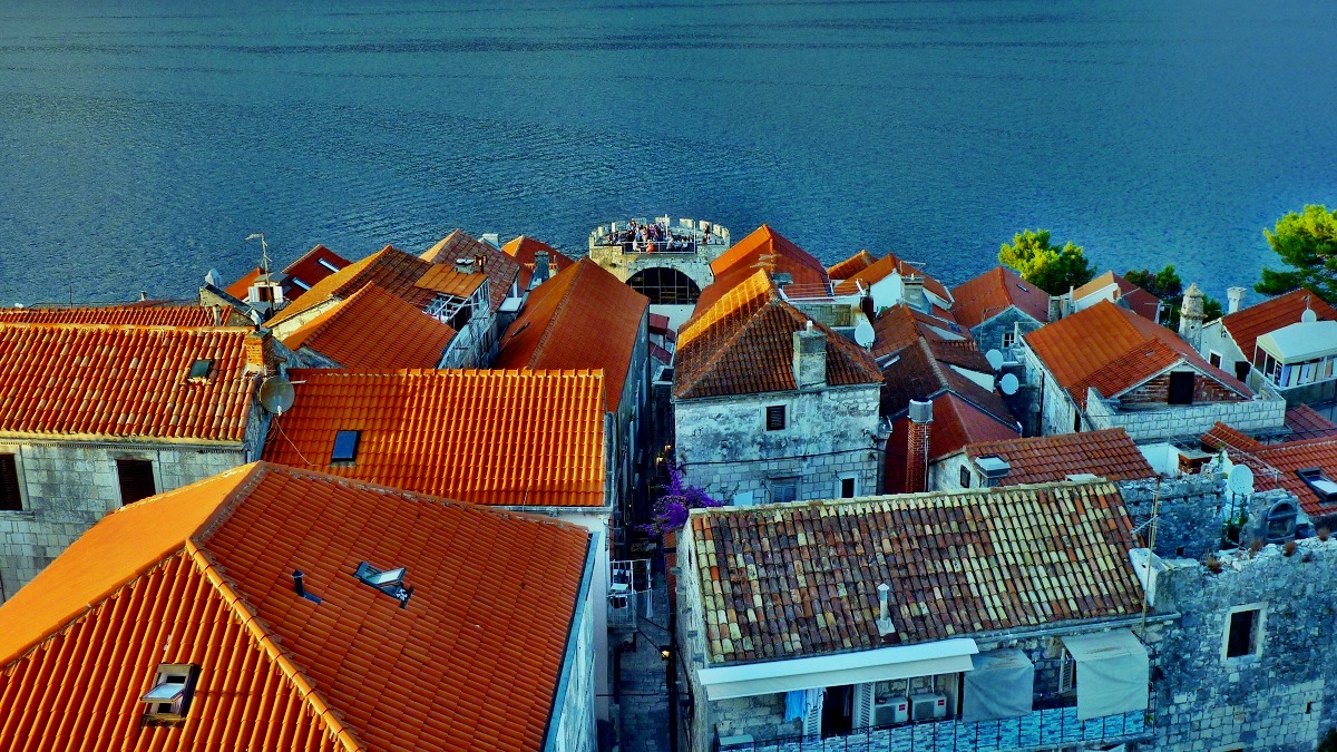 20170915_092113ż3 (99).JPG