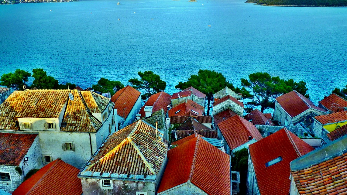 20170915_092113ż3 (100).JPG