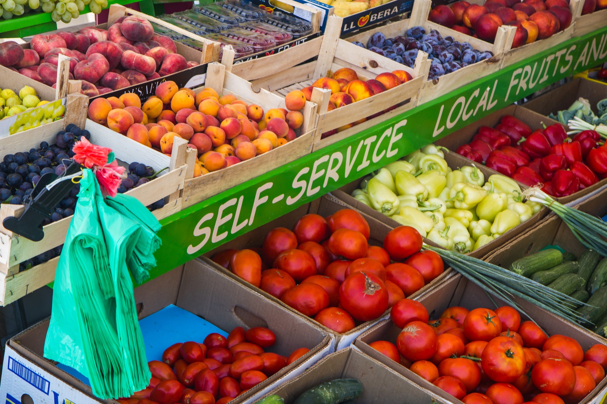 "...na rivie zaopatrzymy się w owoce, warzywa, sery i oliwę..." / 13.jpg 13.jpg