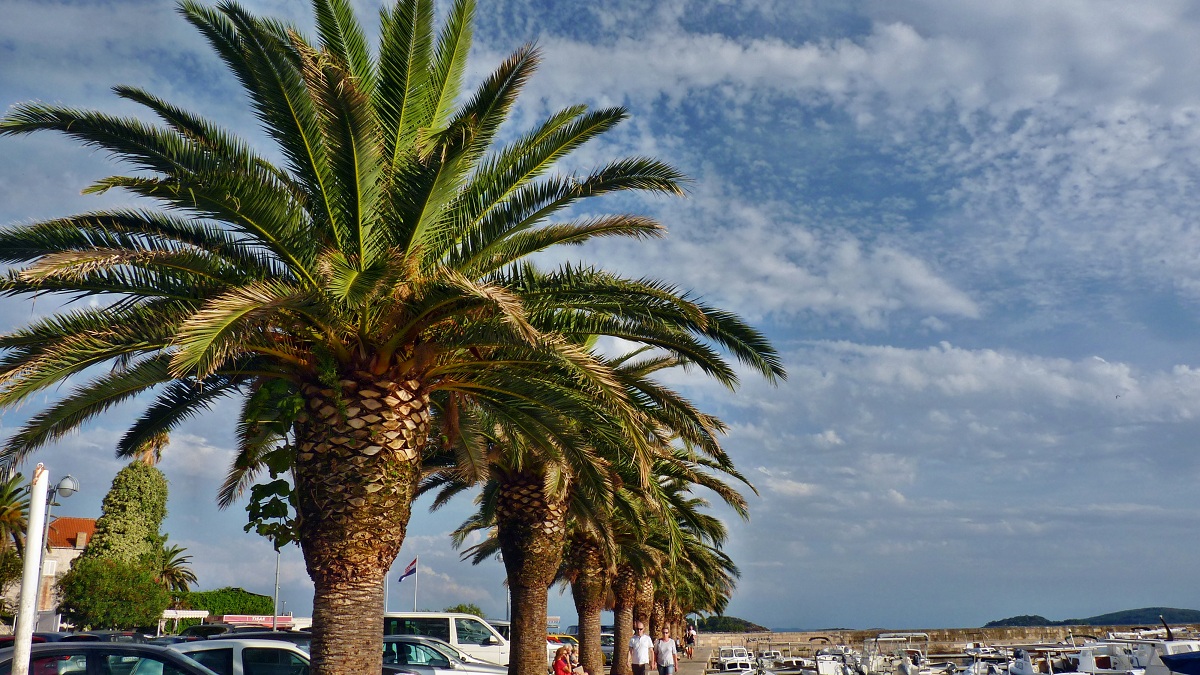 20170917_192233 (23).JPG