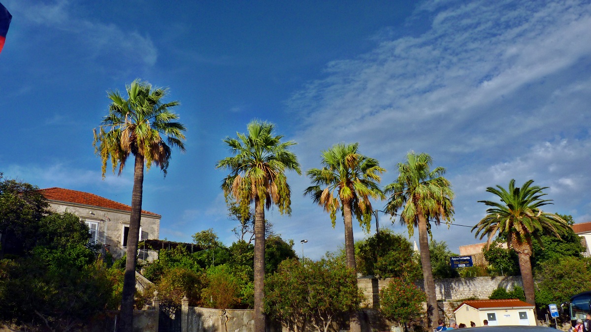 20170917_192233 (24).JPG