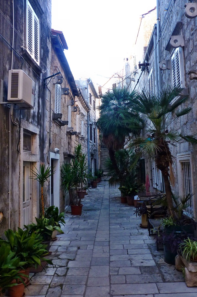 20170917_192233 (45).JPG