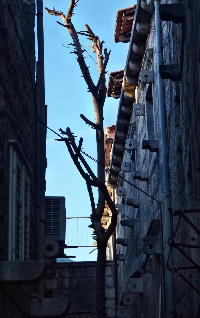 20170917_192233 (46).JPG