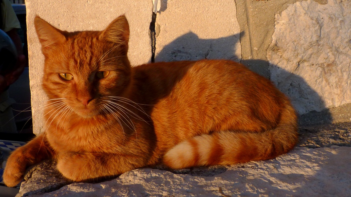 20170917_192233 (52).JPG