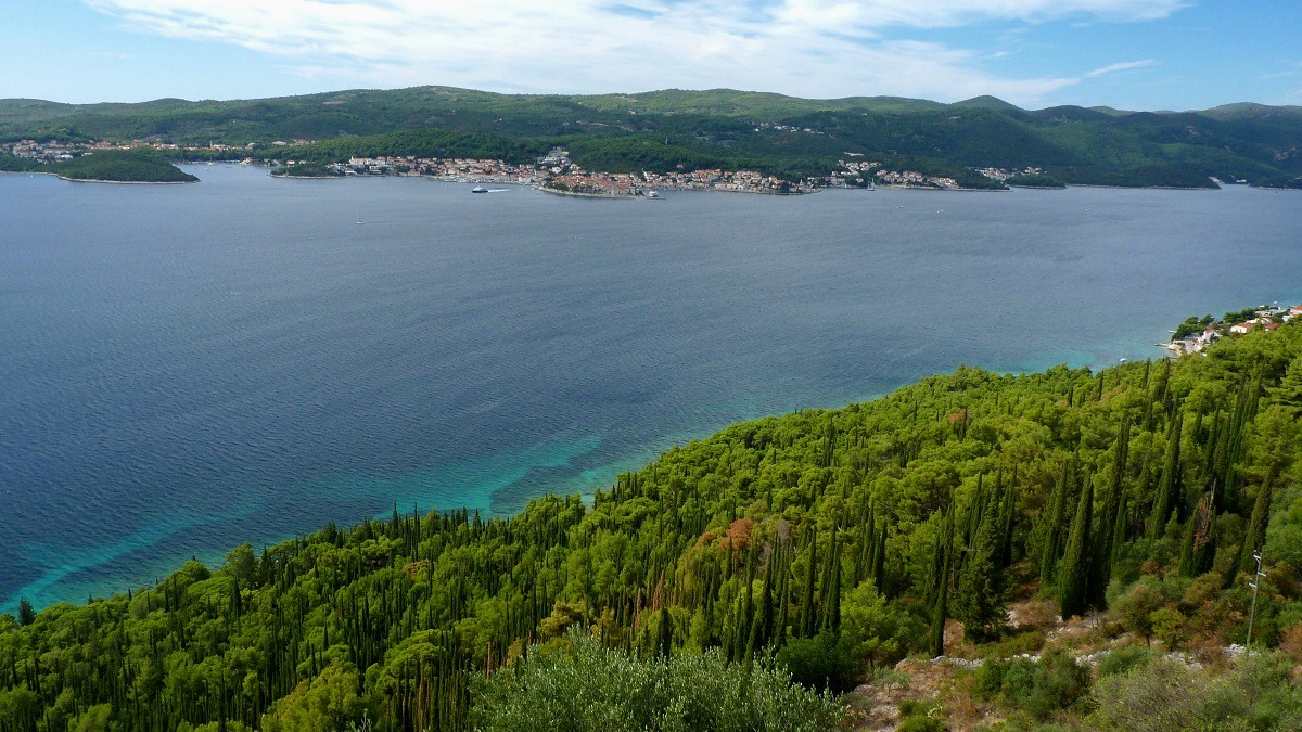 20170918_081723 (9).JPG