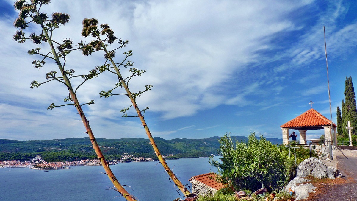 20170918_081723 (19).JPG