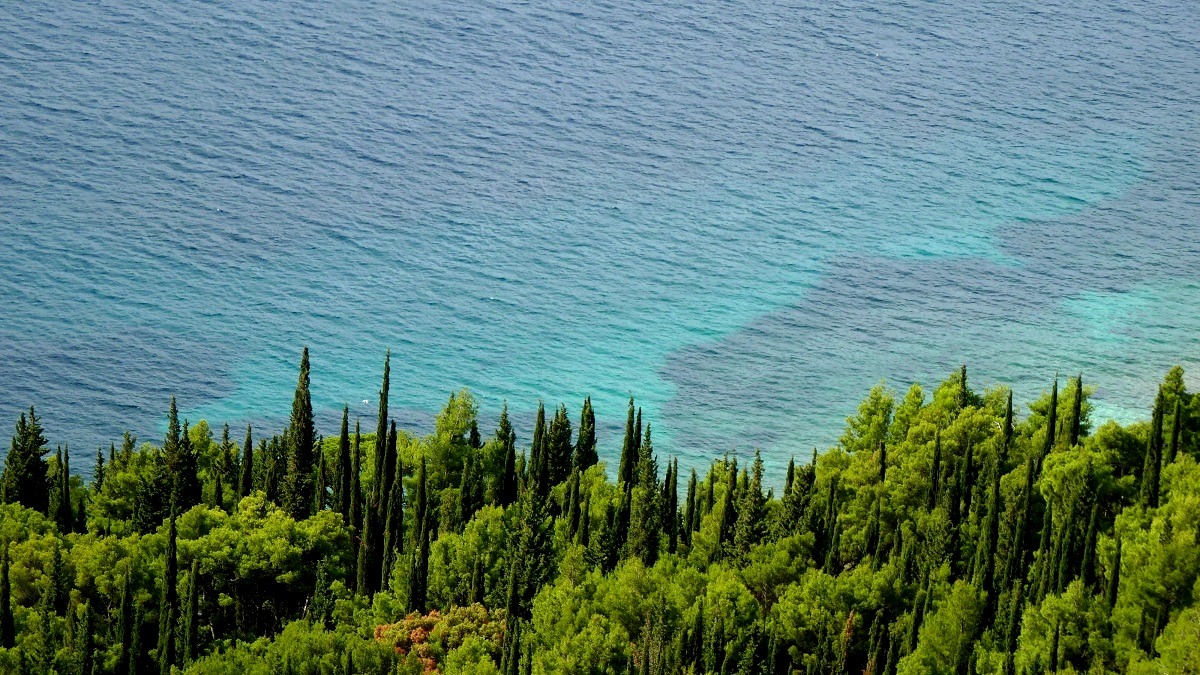 20170918_081723 (21).JPG