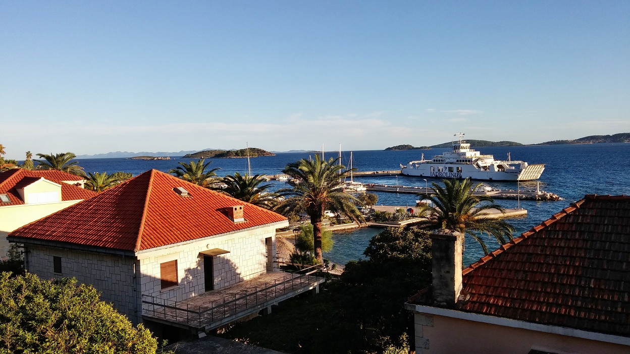 20170918_081723 (39)a.jpg