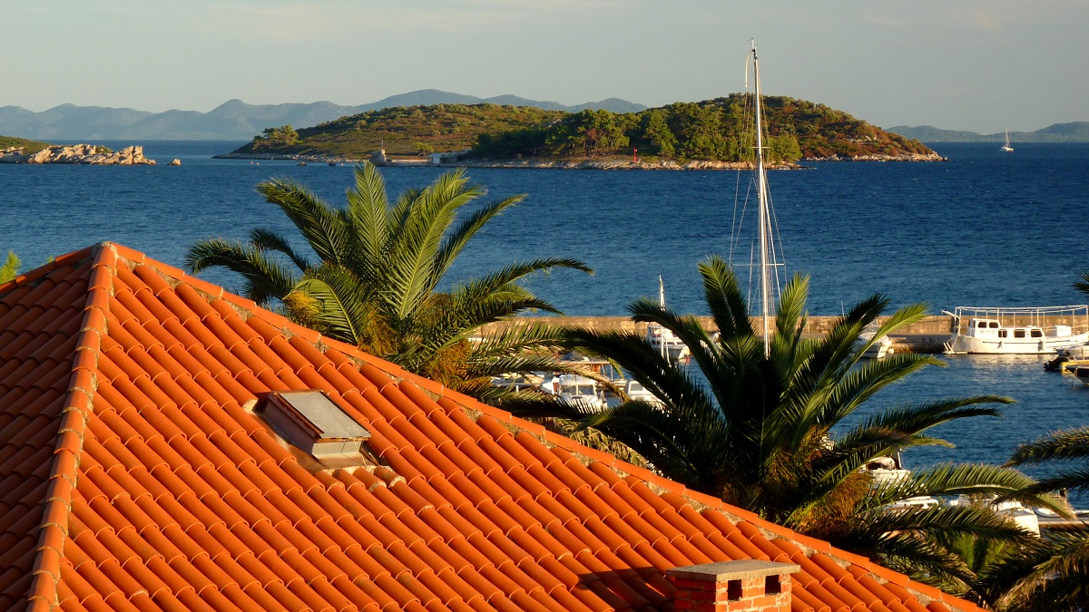 20170918_081723 (44).JPG