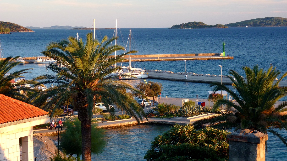 20170918_081723 (47).JPG