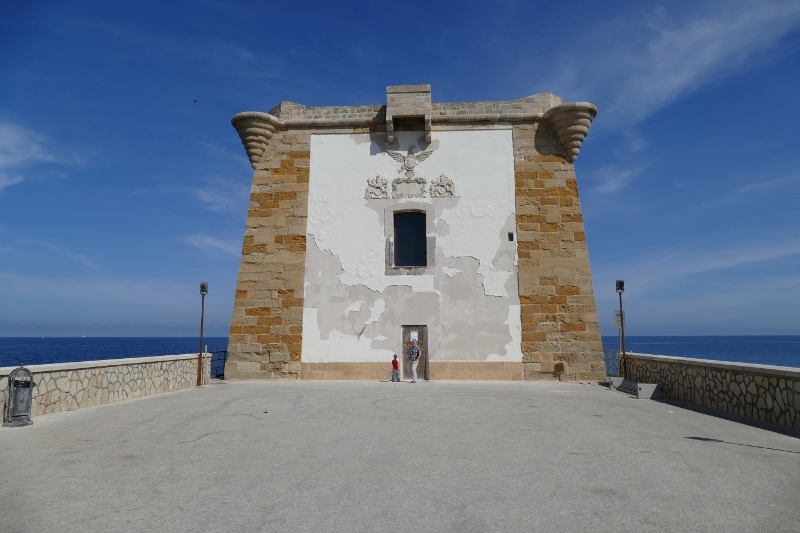 P1050661 (800x533).jpg