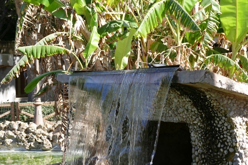 P1050718 (800x533).jpg