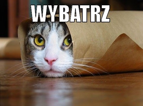 wybatrz-pl-ffffff-2.jpg