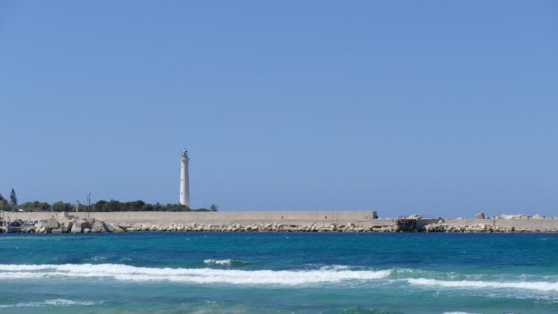 P1050821 (800x450).jpg