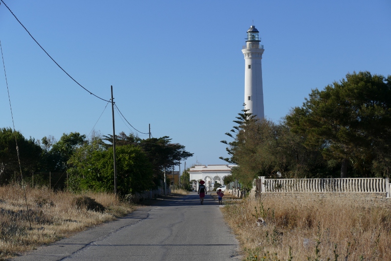 P1060044 (800x533).jpg