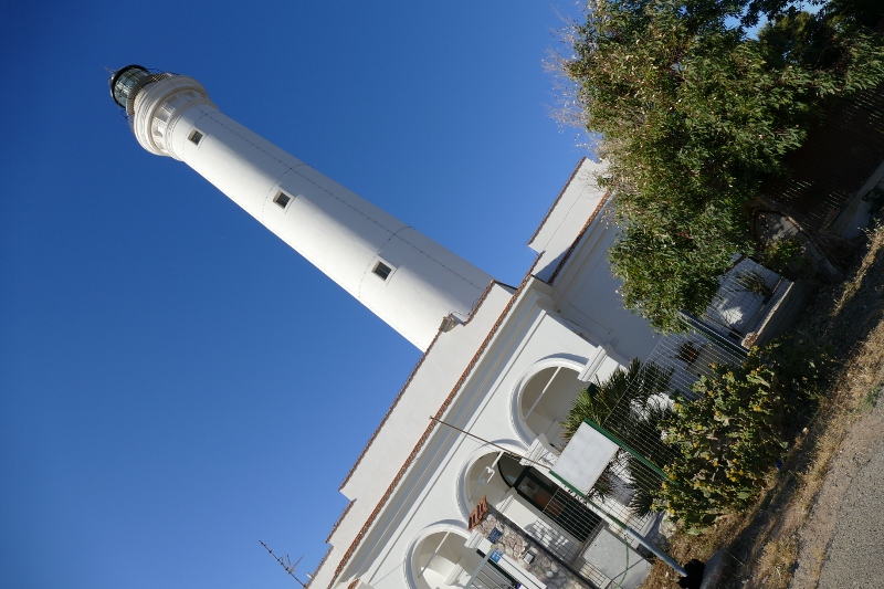 P1060047 (800x533).jpg