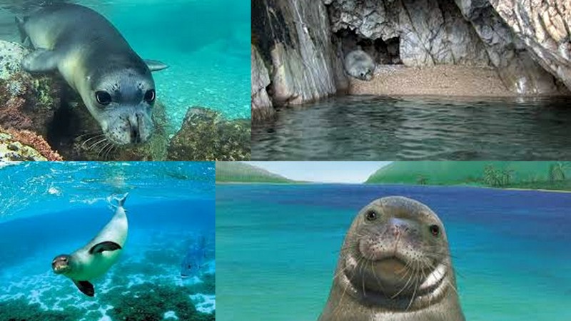 Ostatnio zaktualizowane.jpg