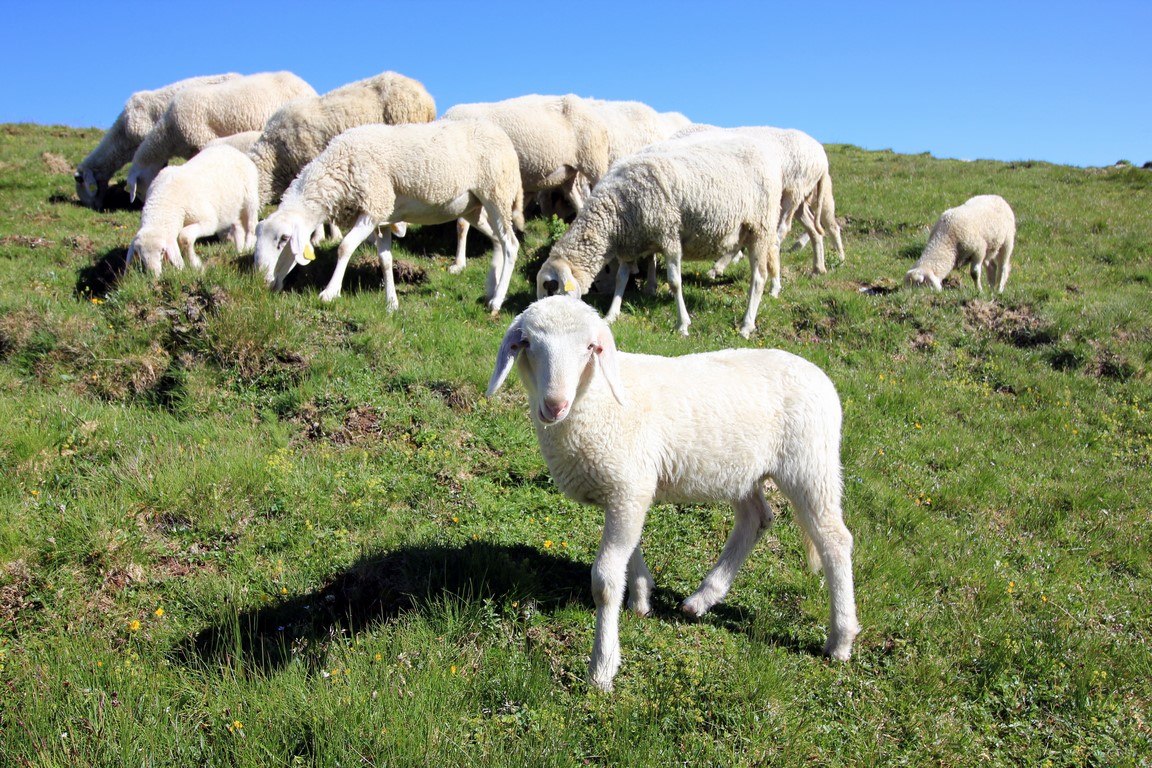 IMG_0837 (Kopiowanie).JPG