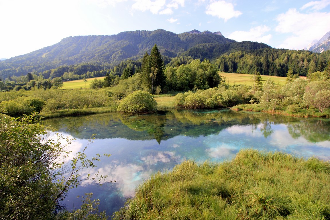 IMG_1240 (Kopiowanie).JPG