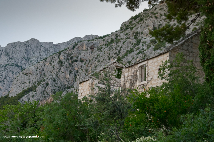 stare domostwo / DSC_3584.jpg DSC_3584.jpg