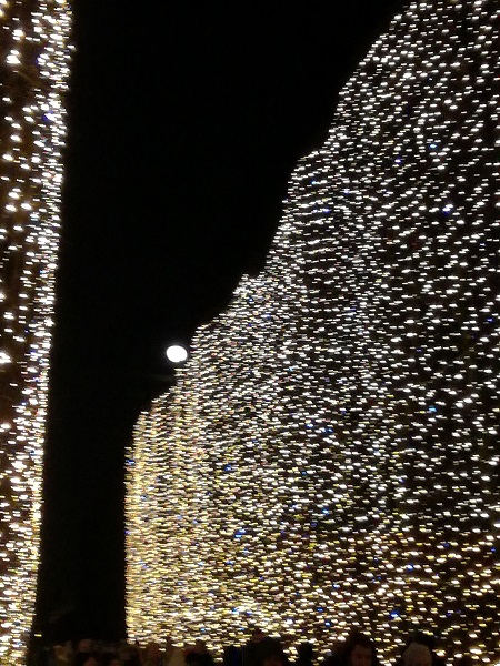 IMG_20170114_195353 (1).jpg