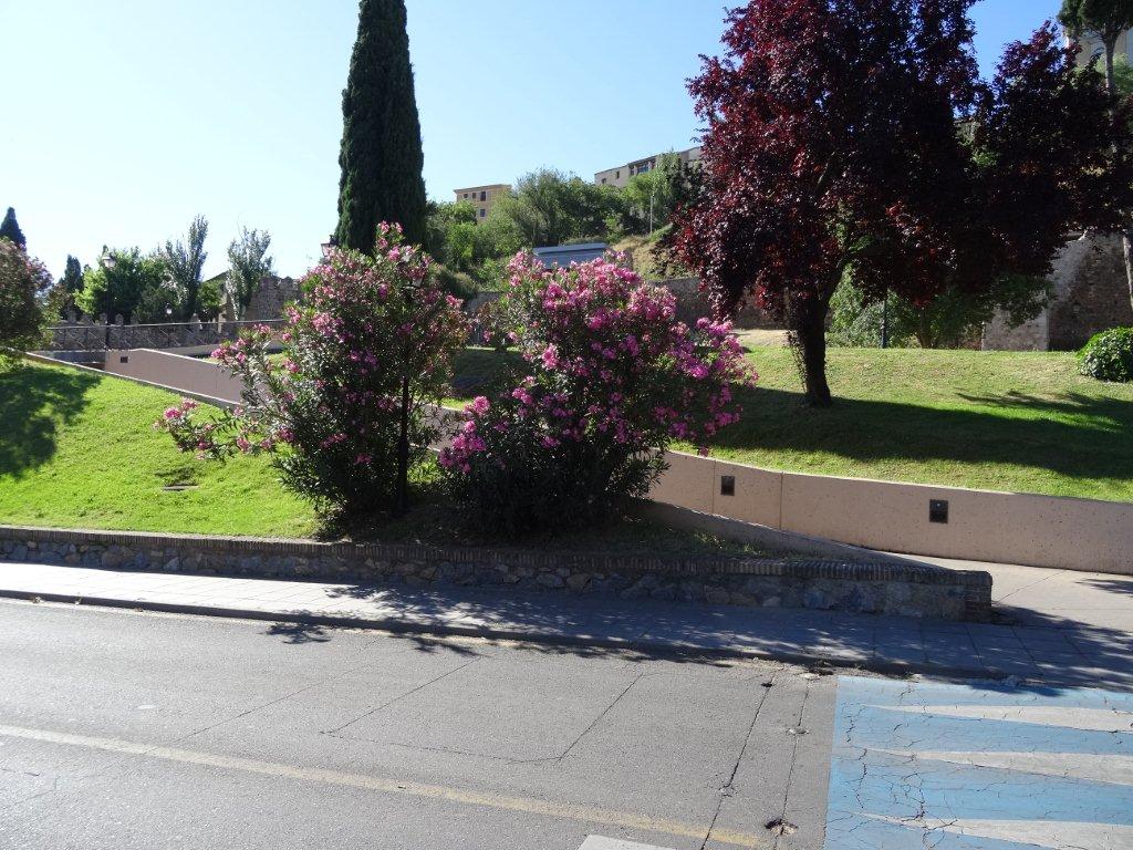 Podbój Iberii cz. I 1222.jpg