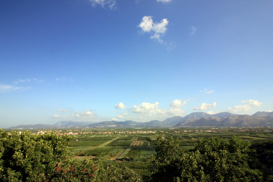 IMG_1364 (Kopiowanie).JPG